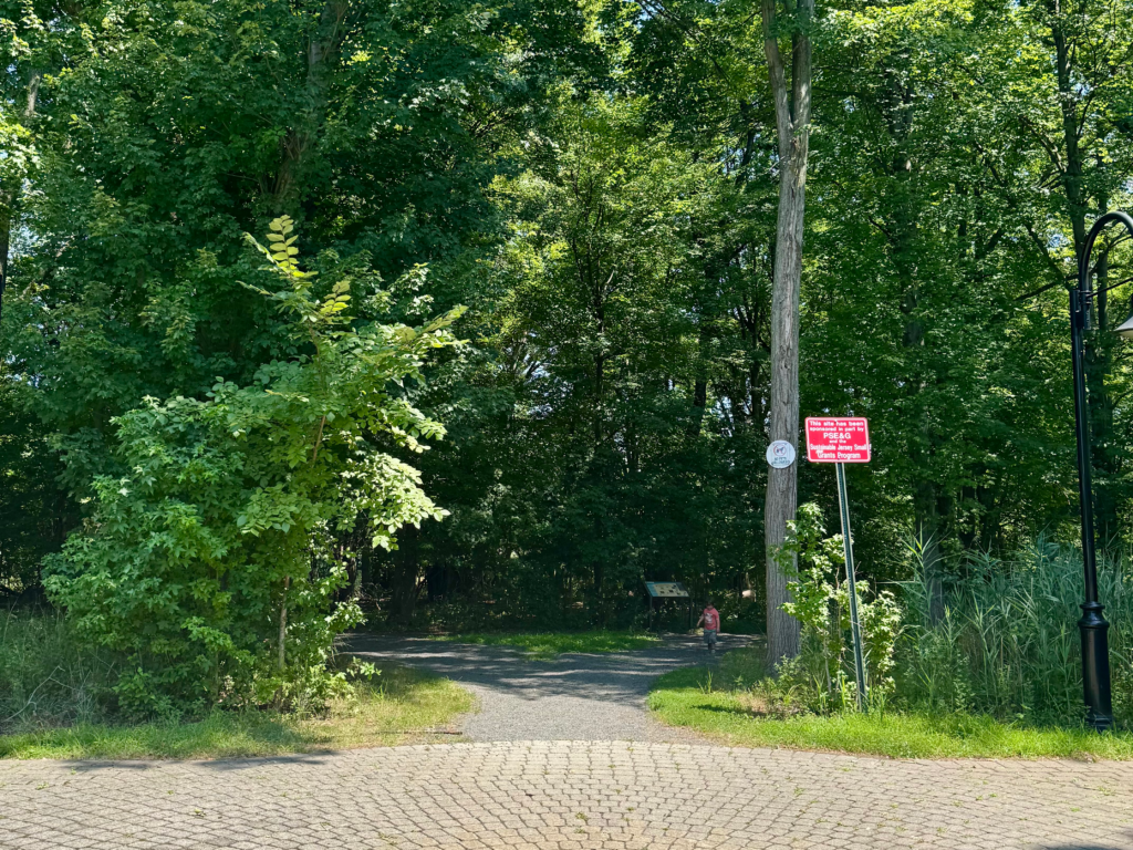 Entrance to the walking trail at Hawk Rise Sanctuary in Linden, NJ