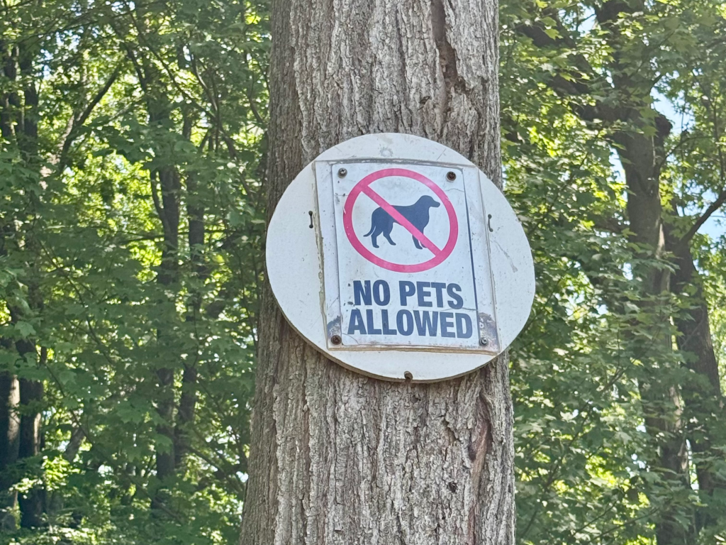 No pets allowed sign posted on a tree at Hawk Rise Sanctuary
