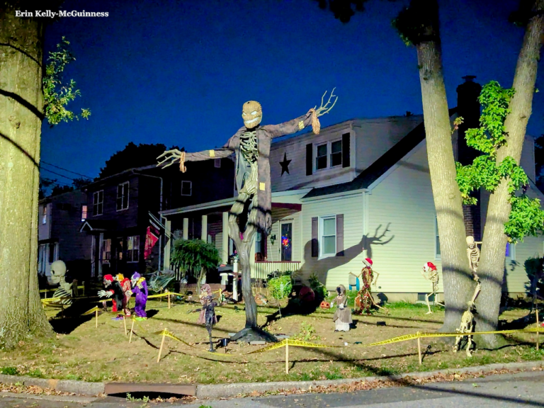 Halloween spider web display with black spiders stretched across a Rahway front lawn.