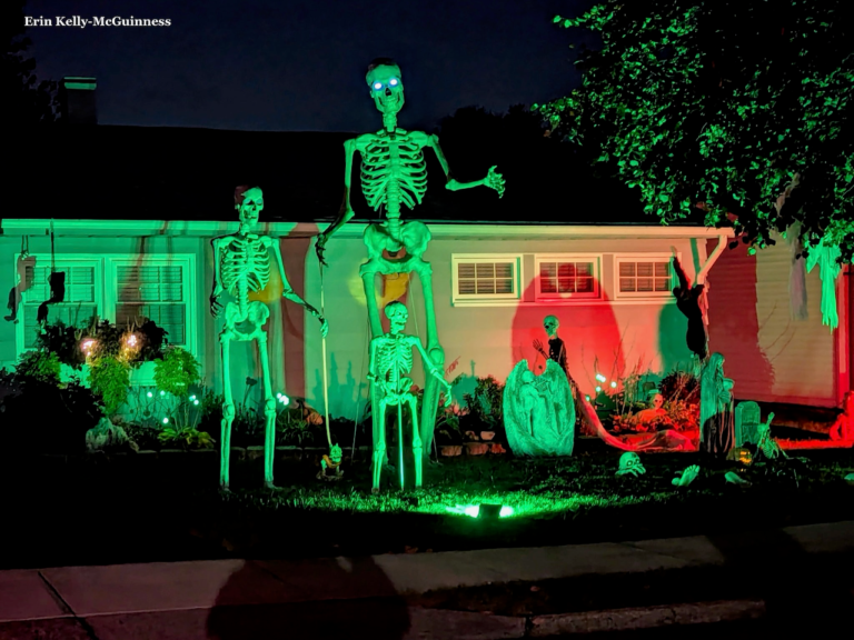 Halloween window display with glowing jack-o’-lanterns and hanging bats in Rahway.