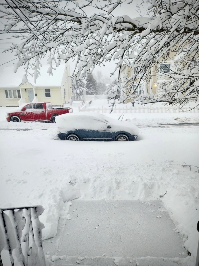 Blizzard Warning: Snow Routes, Towing, Trash Canceled Across Central Jersey 4 Snow-covered cars and tree branches in Edison, NJ after February 2026 blizzard